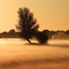 polderlakerveld1ekailexmond15052020 1